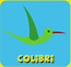 colibri